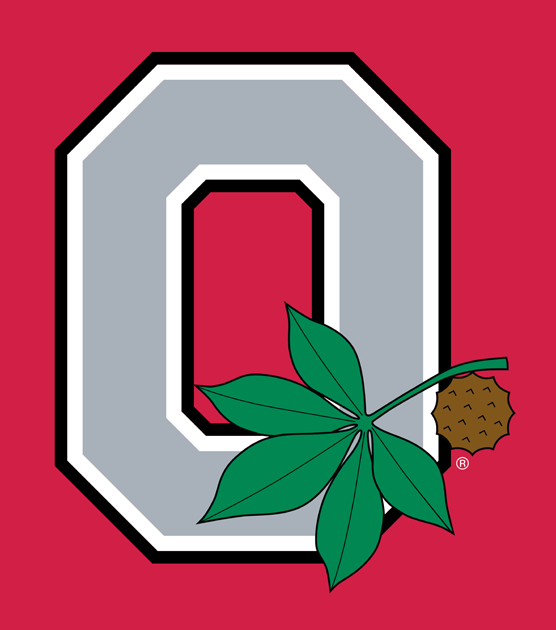 Ohio State Buckeyes 1968-Pres Alternate Logo v4 diy iron on heat transfer